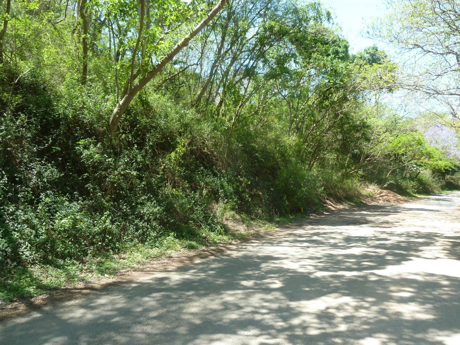 5002 m² Land available in Shongweni photo number 1