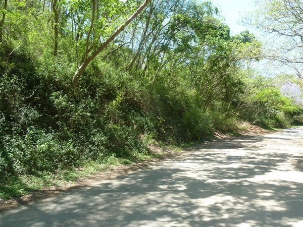 5002 m² Land available in Shongweni