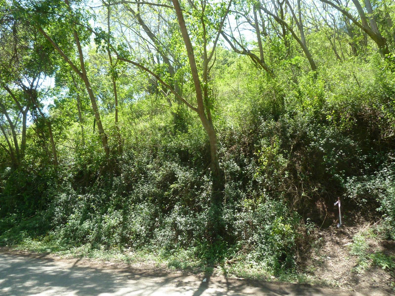 5002 m² Land available in Shongweni photo number 3