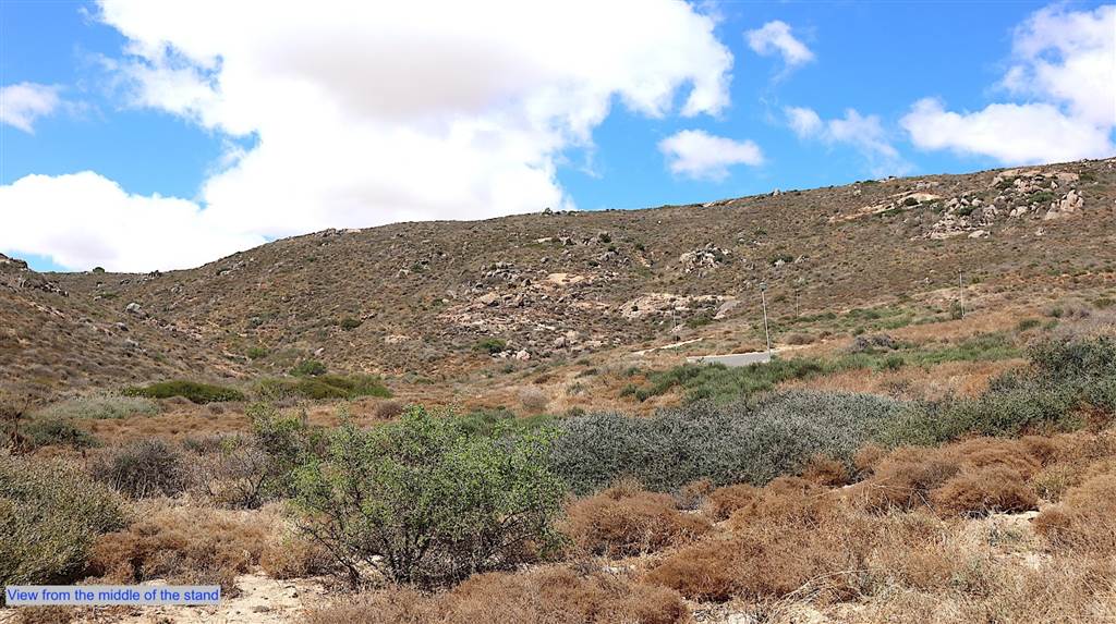 289 m² Land available in St Helena Bay photo number 11