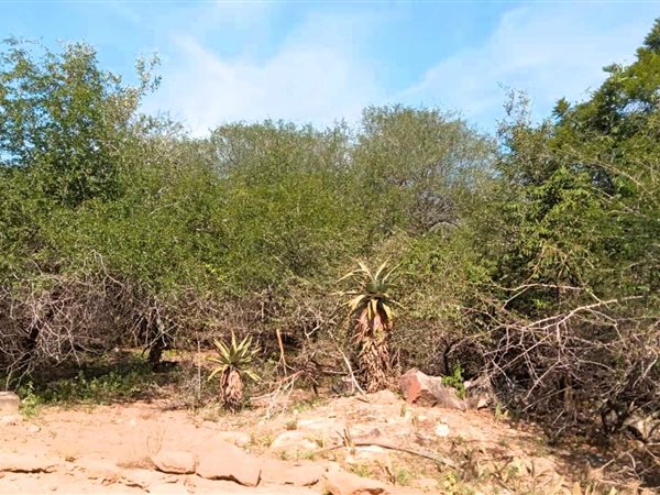 2014 m² Land available in Marloth Park