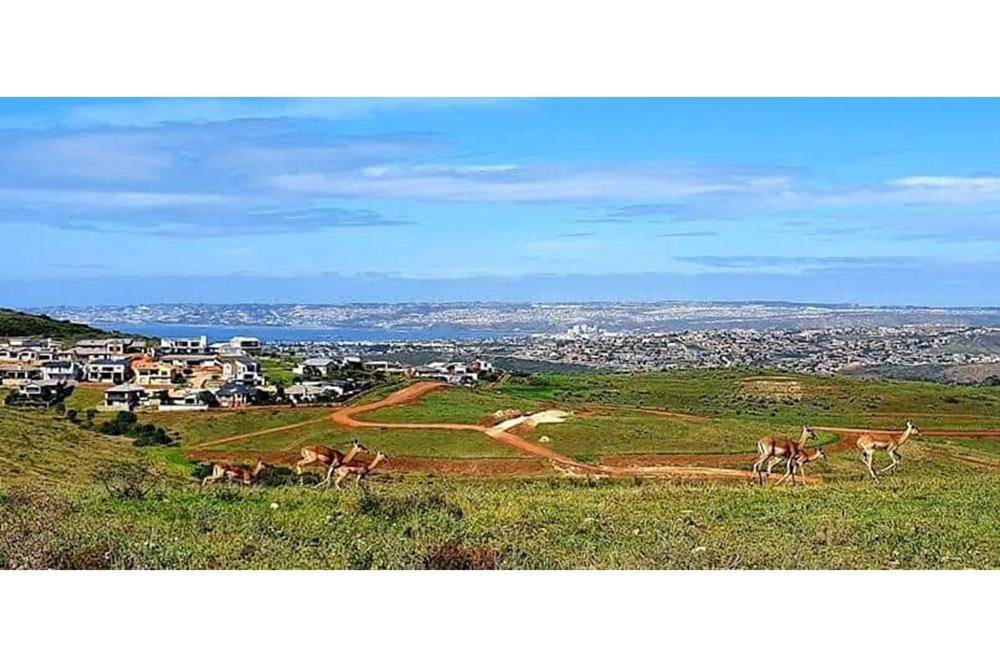 226 m² Land available in Hartenbos photo number 18