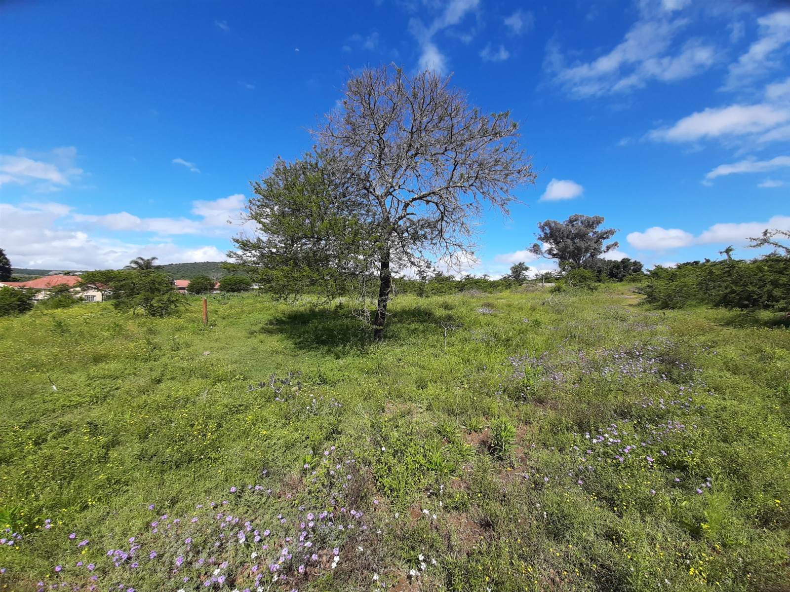 5.8 ha Land available in King Williams Town photo number 6
