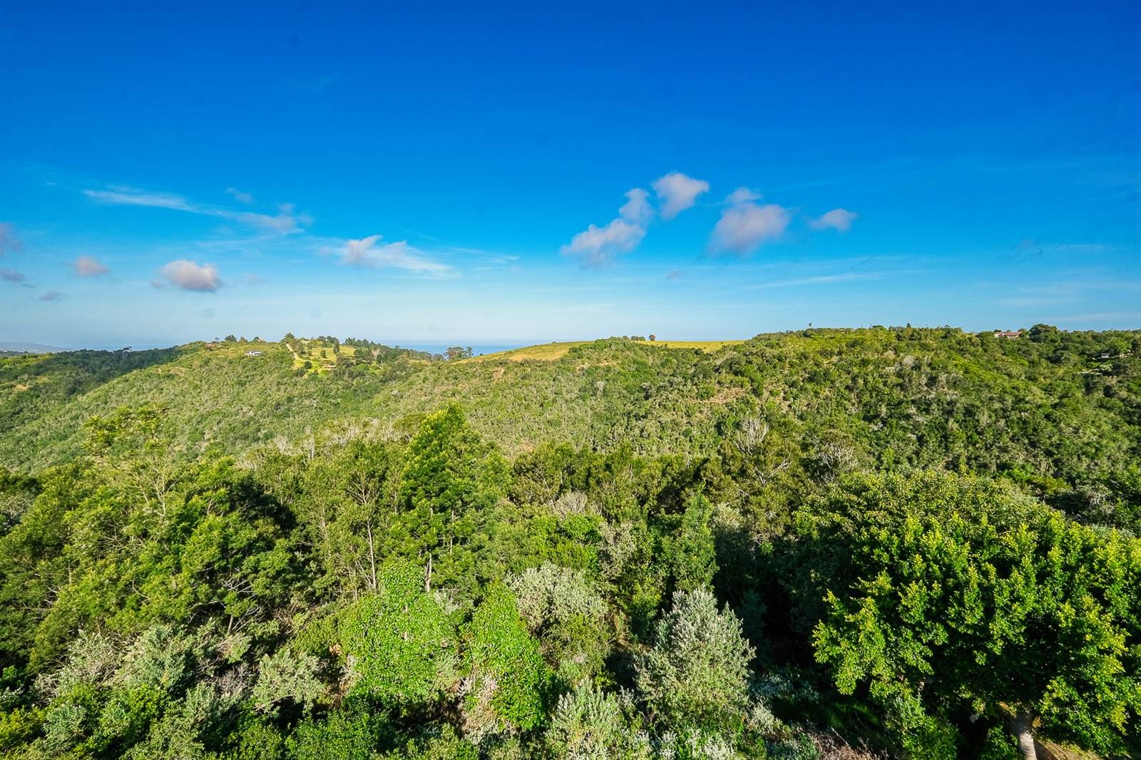 5.9 ha Land available in Wilderness Heights photo number 5