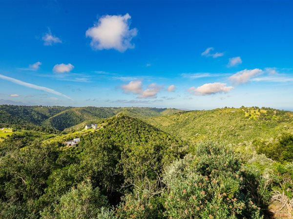5.9 ha Land available in Wilderness Heights