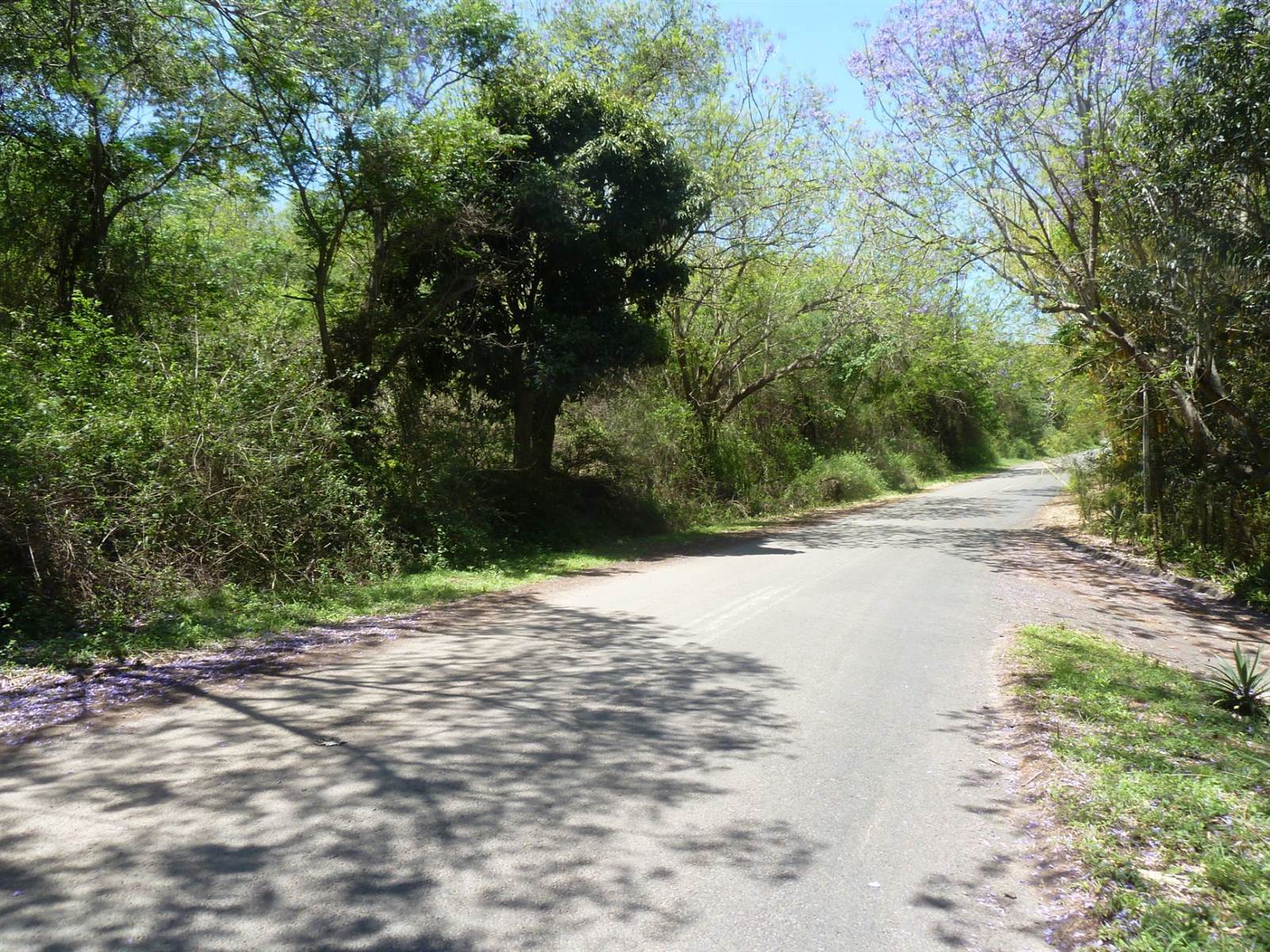 5716 m² Land available in Shongweni photo number 1