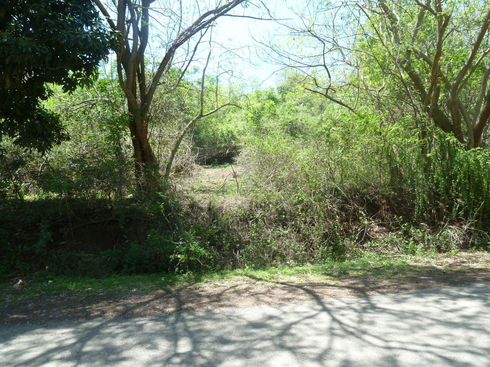 5716 m² Land available in Shongweni photo number 8
