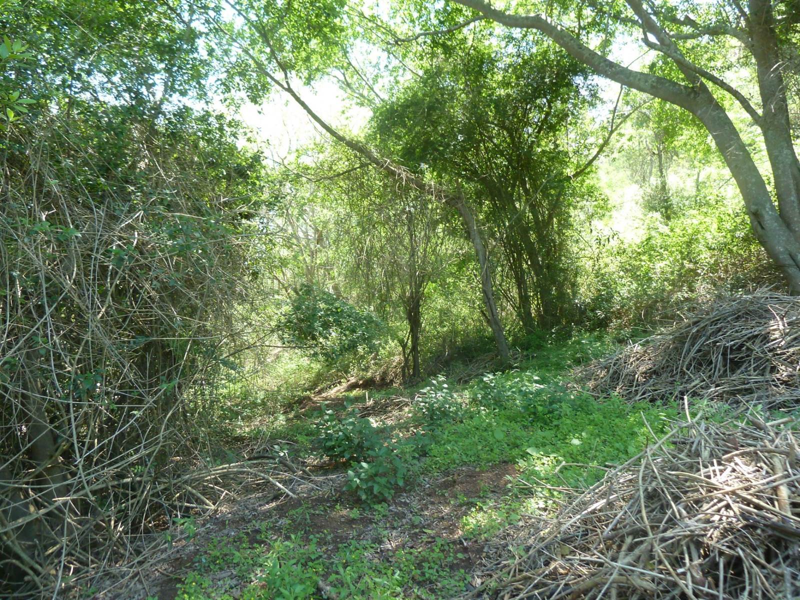 5716 m² Land available in Shongweni photo number 5