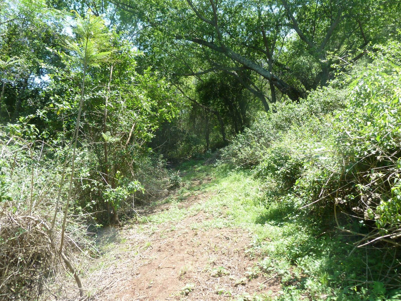 5716 m² Land available in Shongweni photo number 6