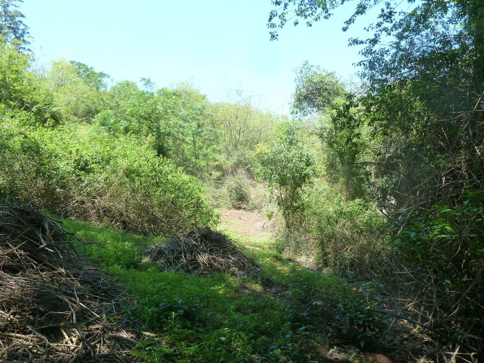 5716 m² Land available in Shongweni photo number 3