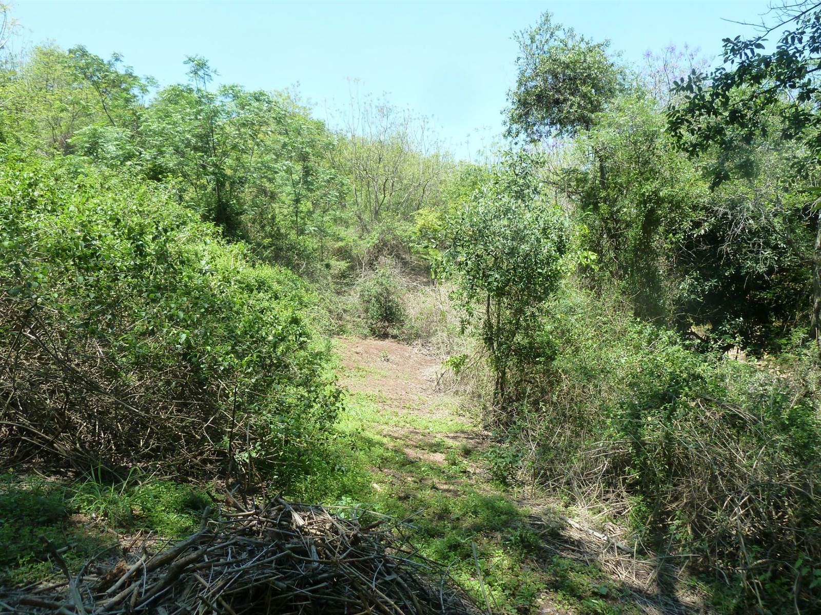 5716 m² Land available in Shongweni photo number 4