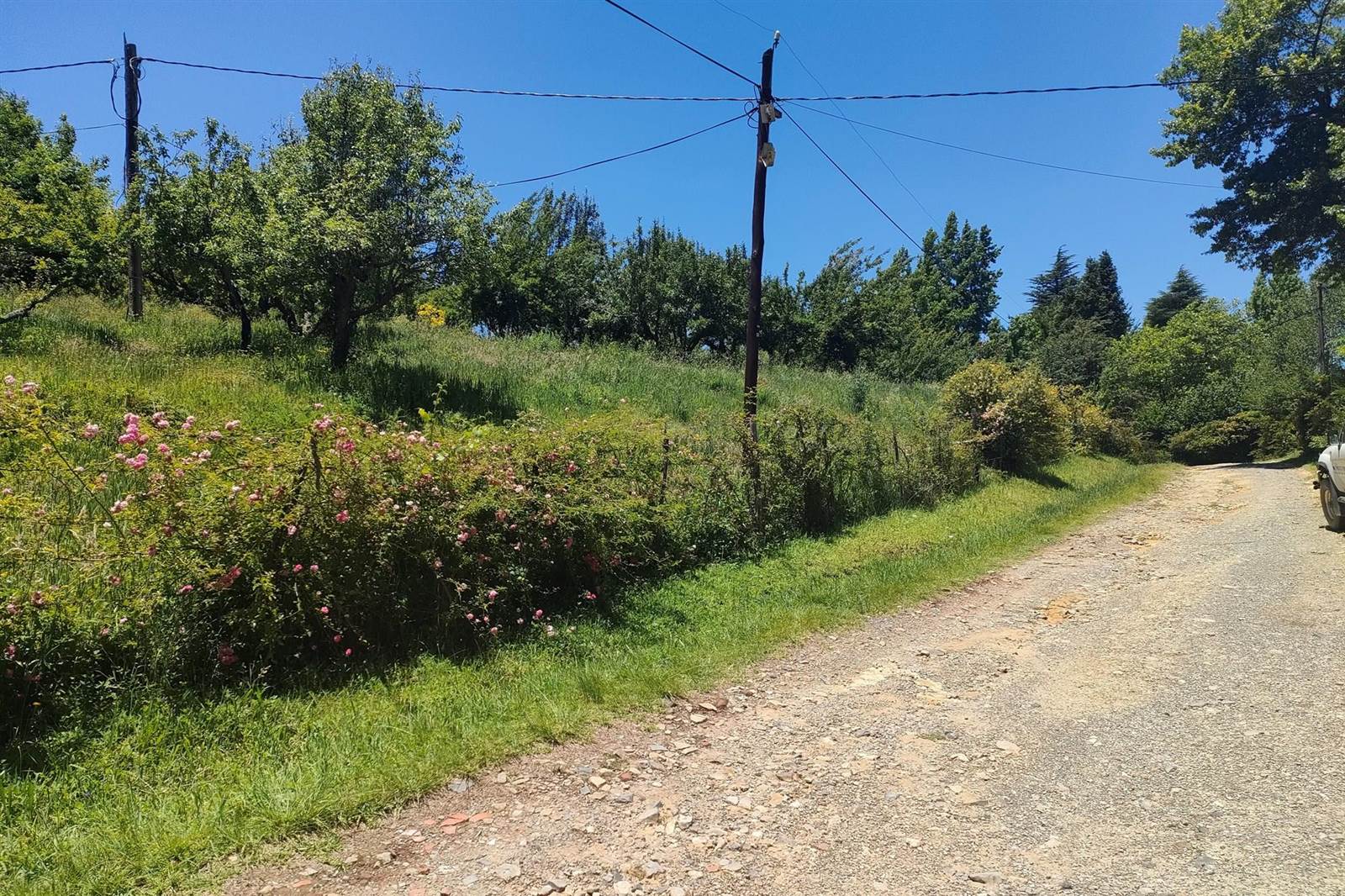 8300 m² Land available in Hogsback photo number 2