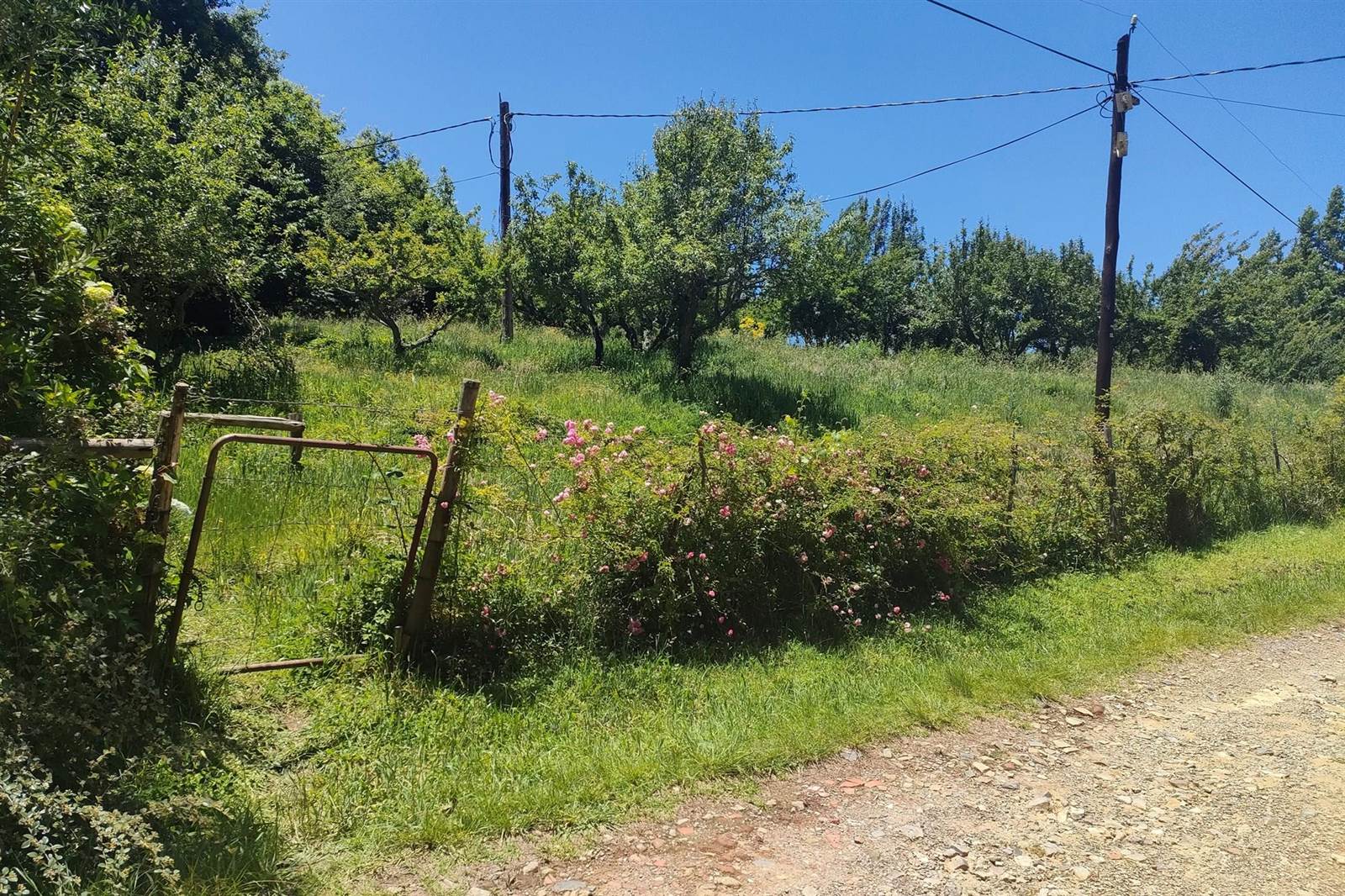 8300 m² Land available in Hogsback photo number 1