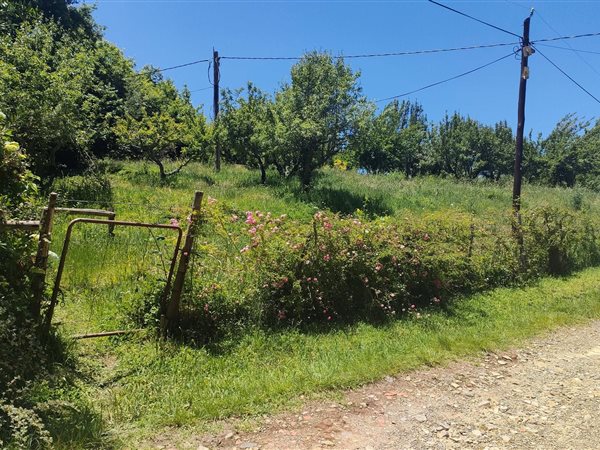 8300 m² Land available in Hogsback