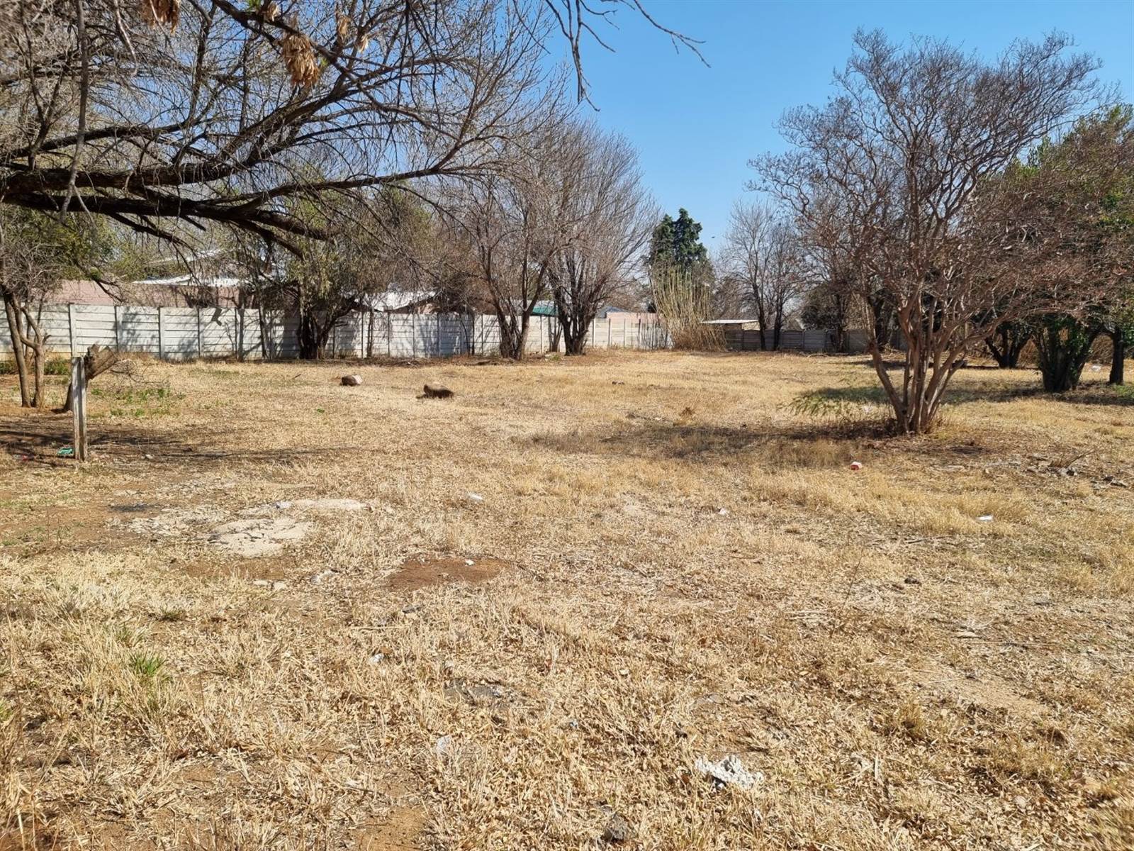 2400 m² Land available in Irene Park photo number 1