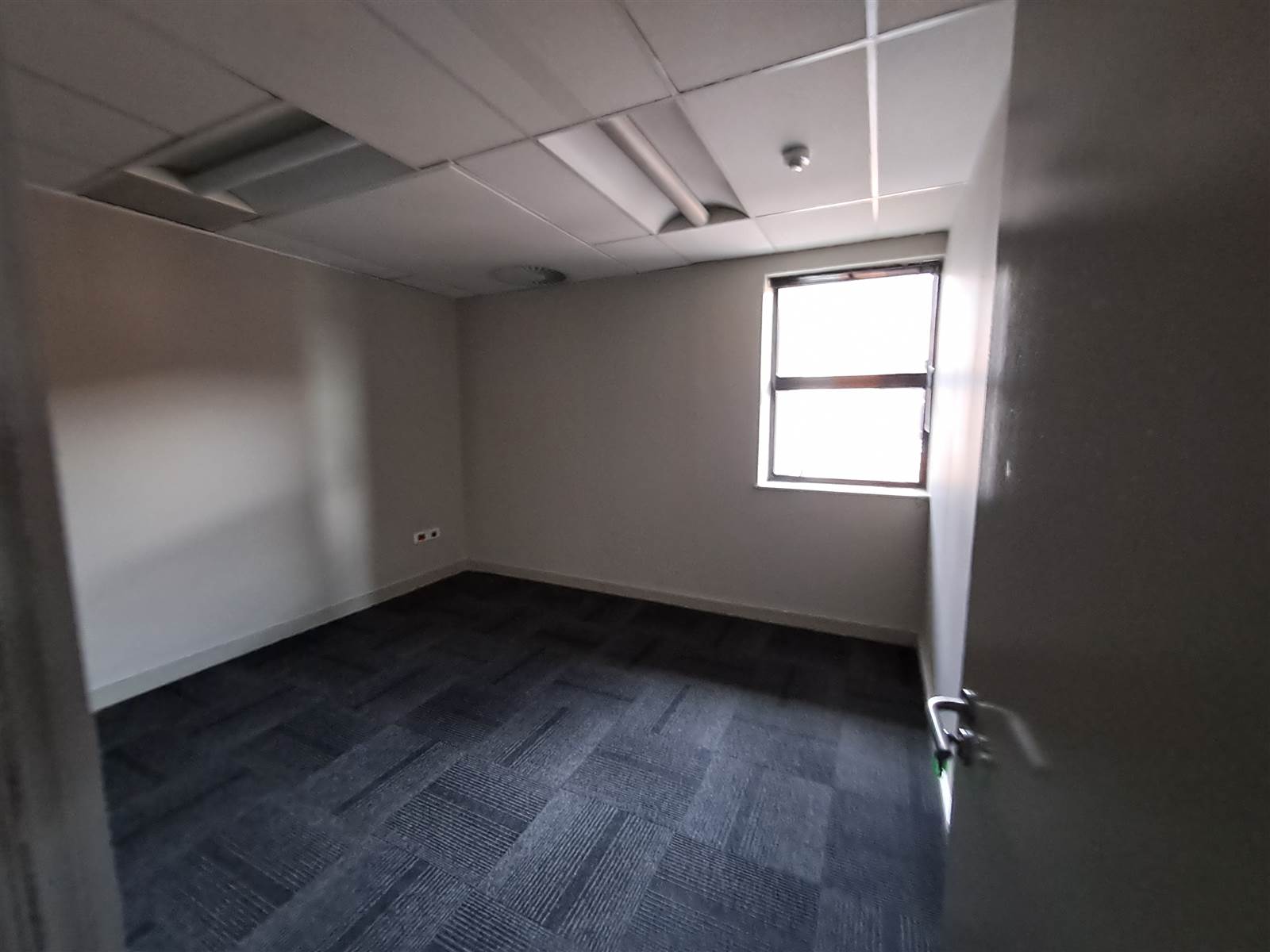 343  m² Commercial space in Waverley photo number 8