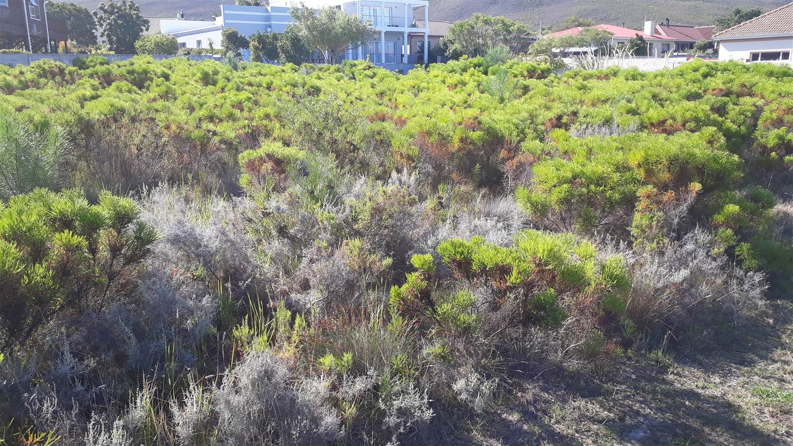 935 m² Land available in Kleinmond photo number 6