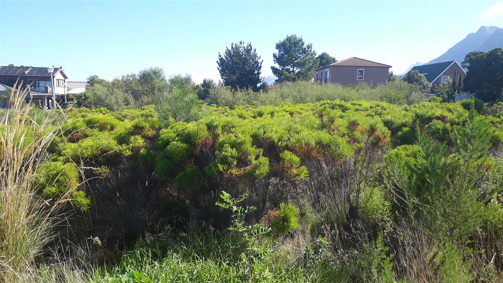 935 m² Land available in Kleinmond photo number 5