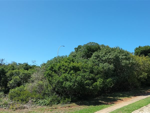 636 m² Land 636 m² Land