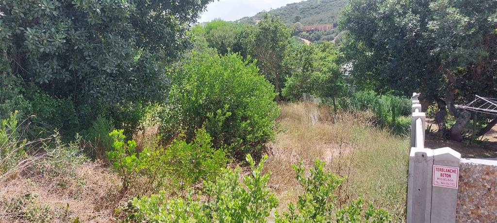 866 m² Land available in Great Brak River photo number 4
