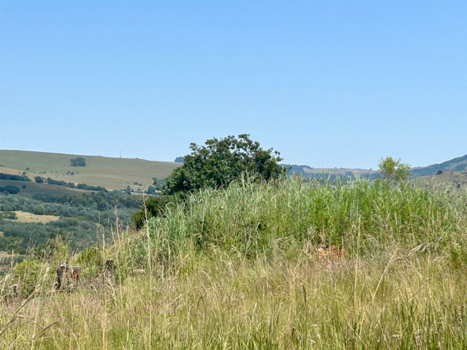1195 m² Land available in Dullstroom photo number 7