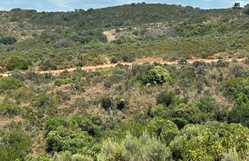 1473 m² Land available in Hartenbos photo number 2