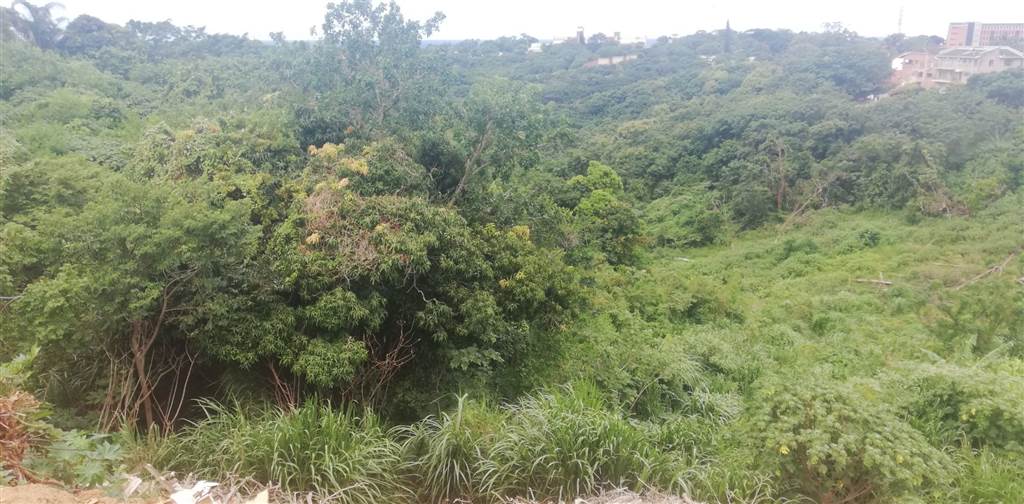 4481 m² Land available in Port Shepstone photo number 4