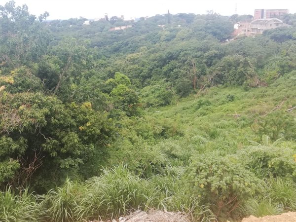 4481 m² Land available in Port Shepstone
