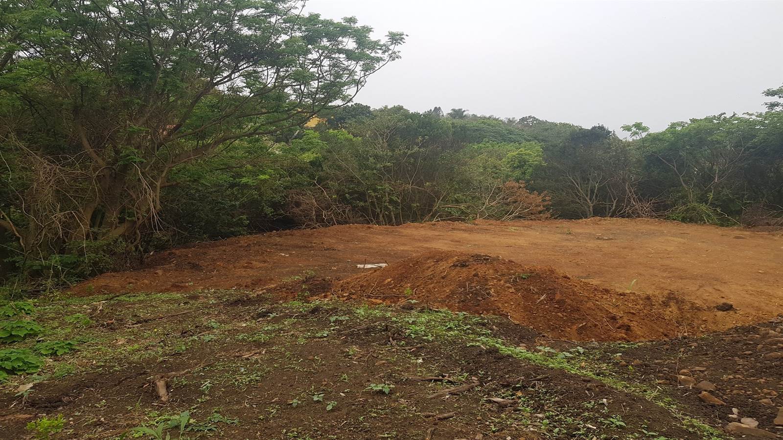 1359 m² Land available in Saiccor photo number 7