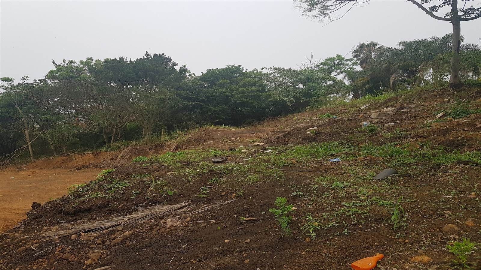 1359 m² Land available in Saiccor photo number 6