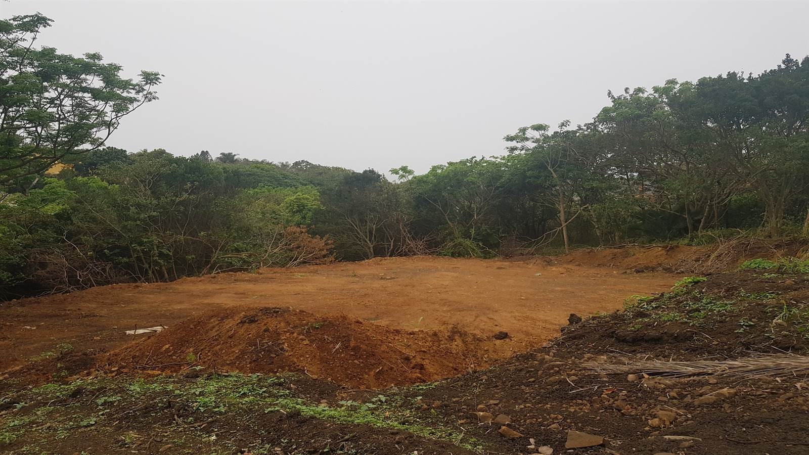 1359 m² Land available in Saiccor photo number 5