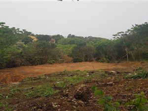 1359 m² Land available in Saiccor