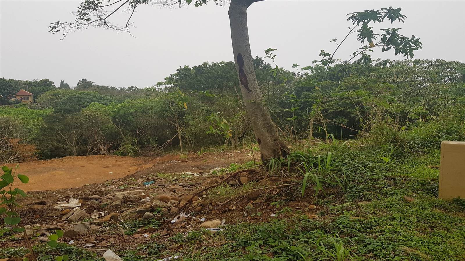 1359 m² Land available in Saiccor photo number 4