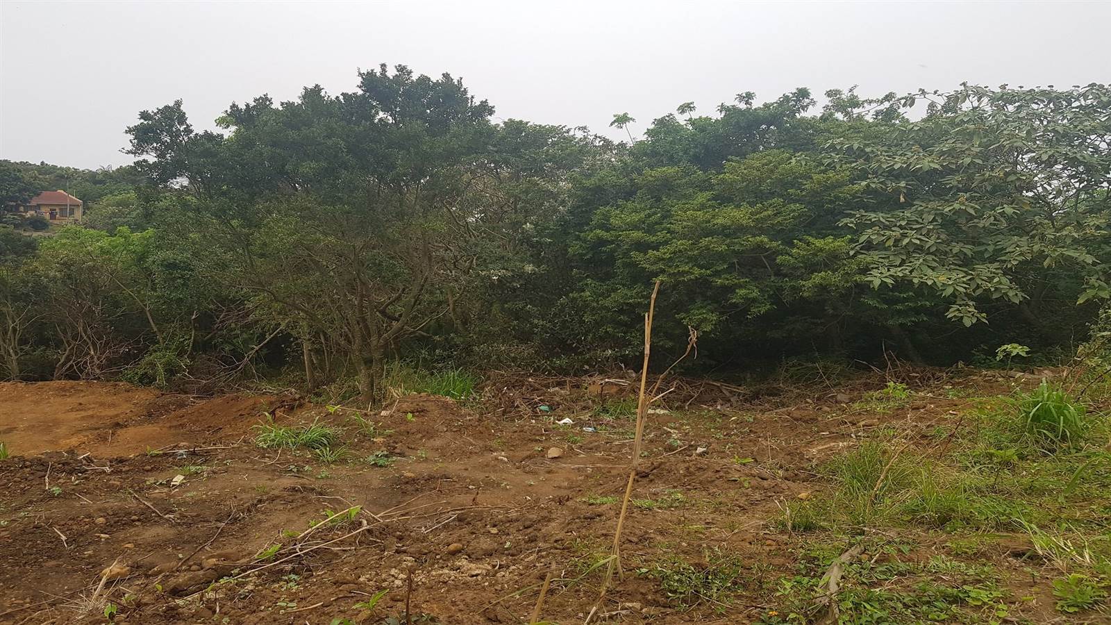 1359 m² Land available in Saiccor photo number 12