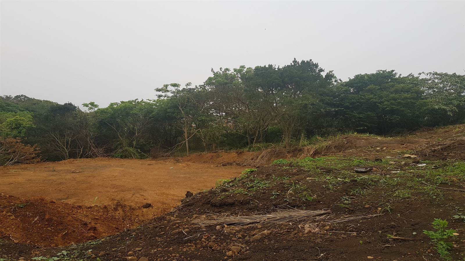 1359 m² Land available in Saiccor photo number 9