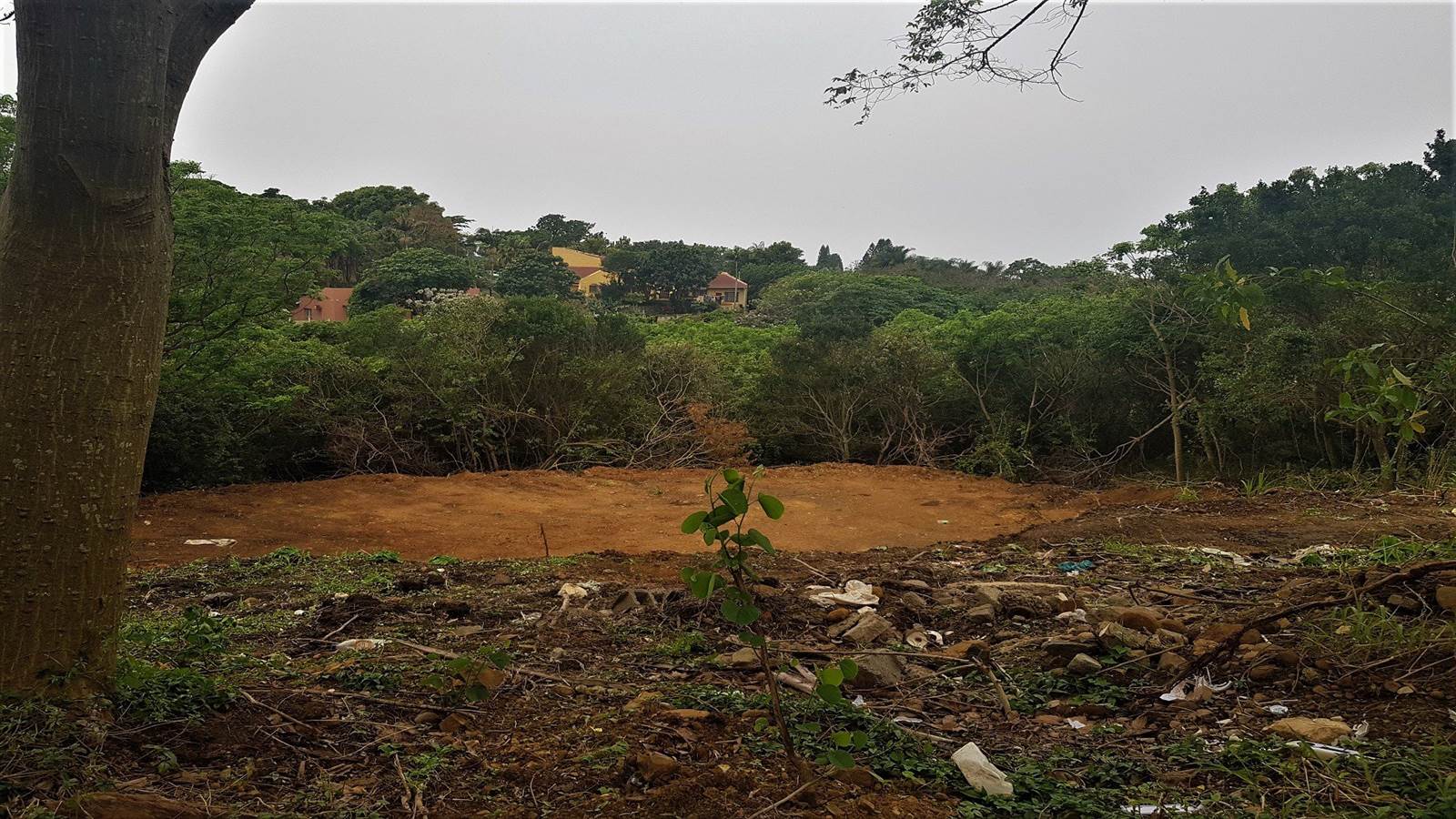 1359 m² Land available in Saiccor photo number 2