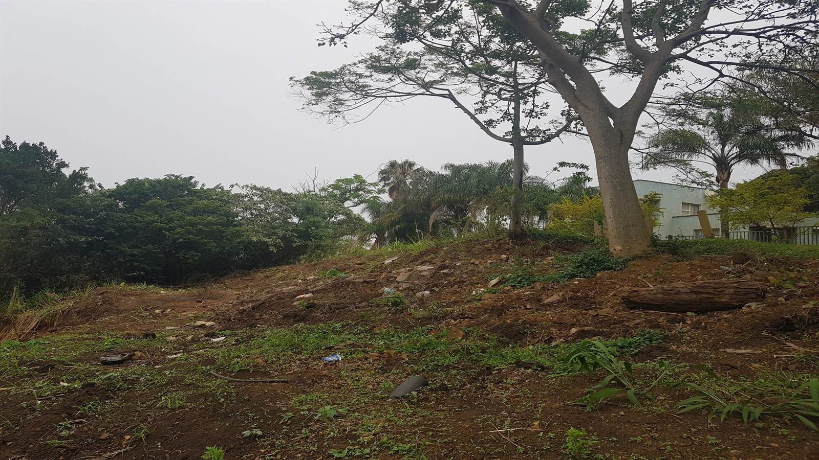 1359 m² Land available in Saiccor photo number 8