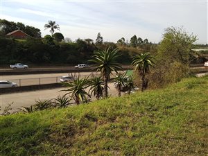 1148 m² Land available in Cato Ridge