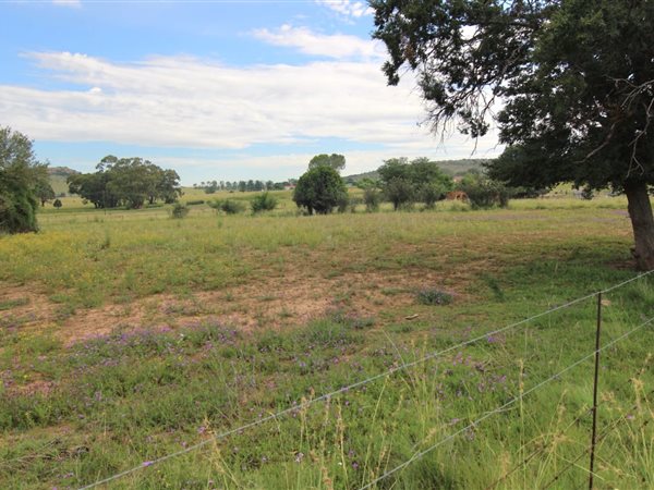 2 974 m² Land