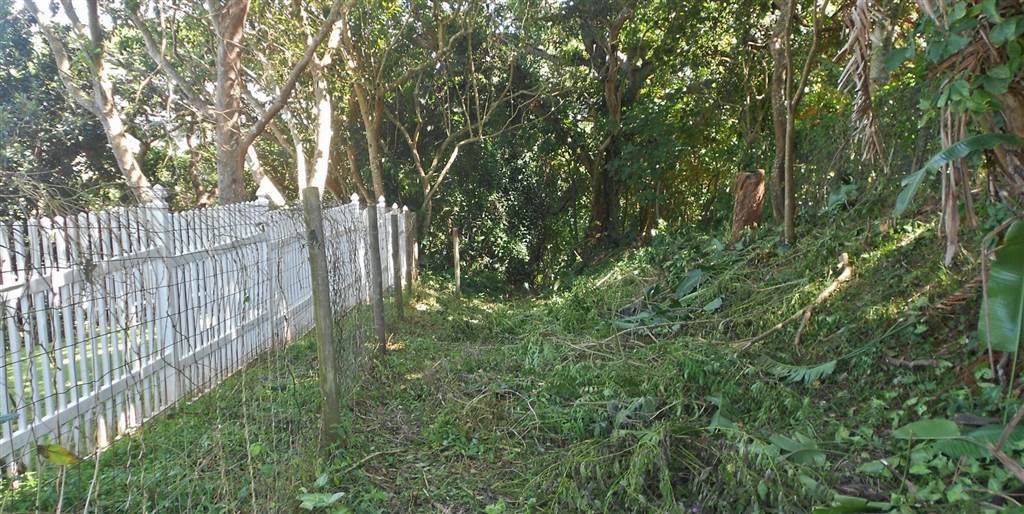 2500 m² Land available in Umtentweni photo number 3