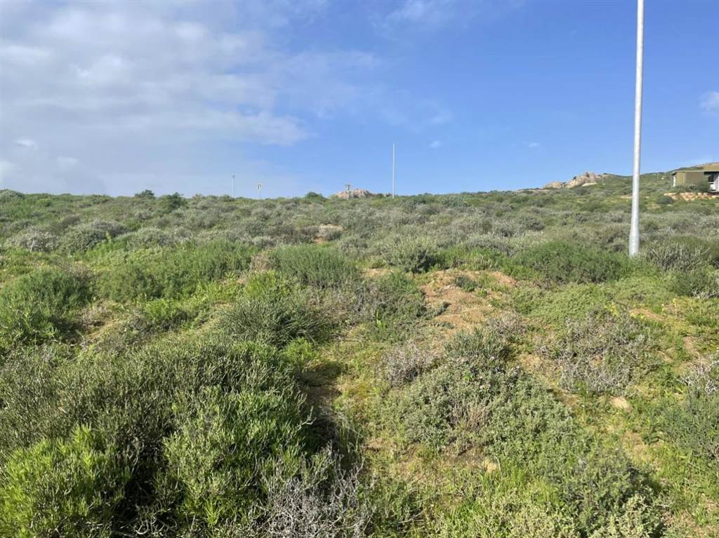 281 m² Land available in St Helena Views photo number 3