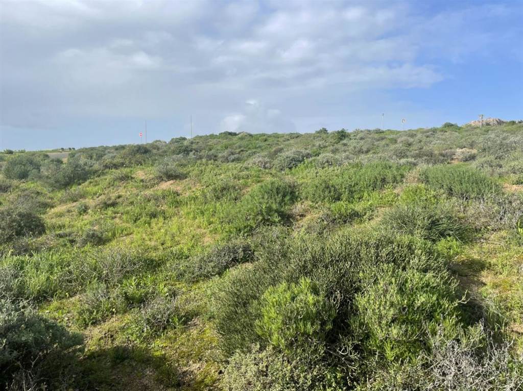 281 m² Land available in St Helena Views photo number 5
