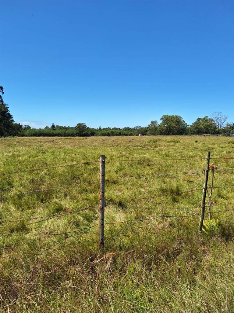 1.7 ha Land available in St Albans photo number 7