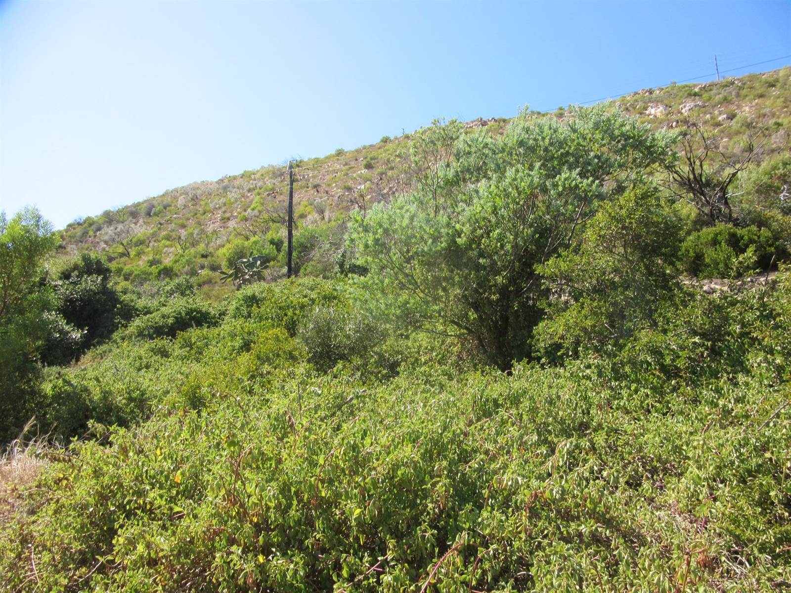 235 m² Land available in Mossel Bay Central photo number 10