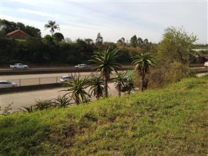 1141 m² Land available in Cato Ridge