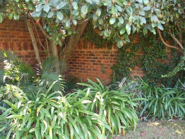 4 Bed House in Lydenburg photo number 19