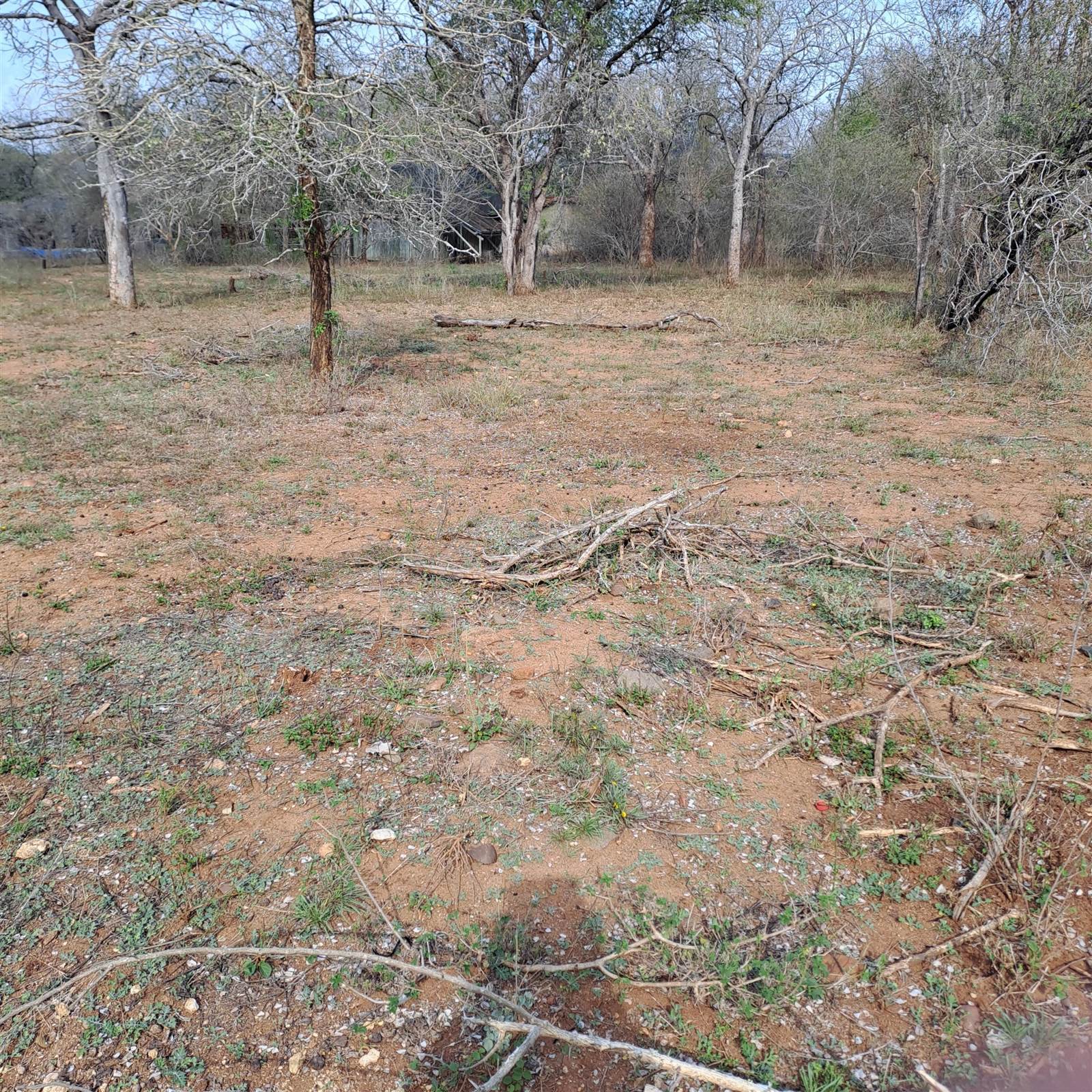 1584 m² Land available in Marloth Park photo number 1