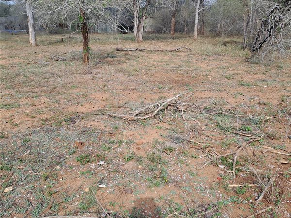 1584 m² Land available in Marloth Park