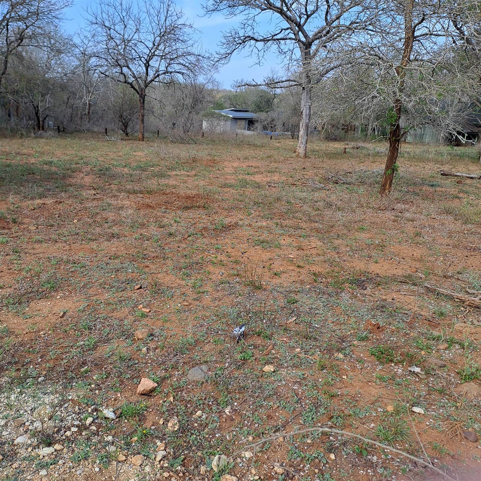 1584 m² Land available in Marloth Park photo number 2
