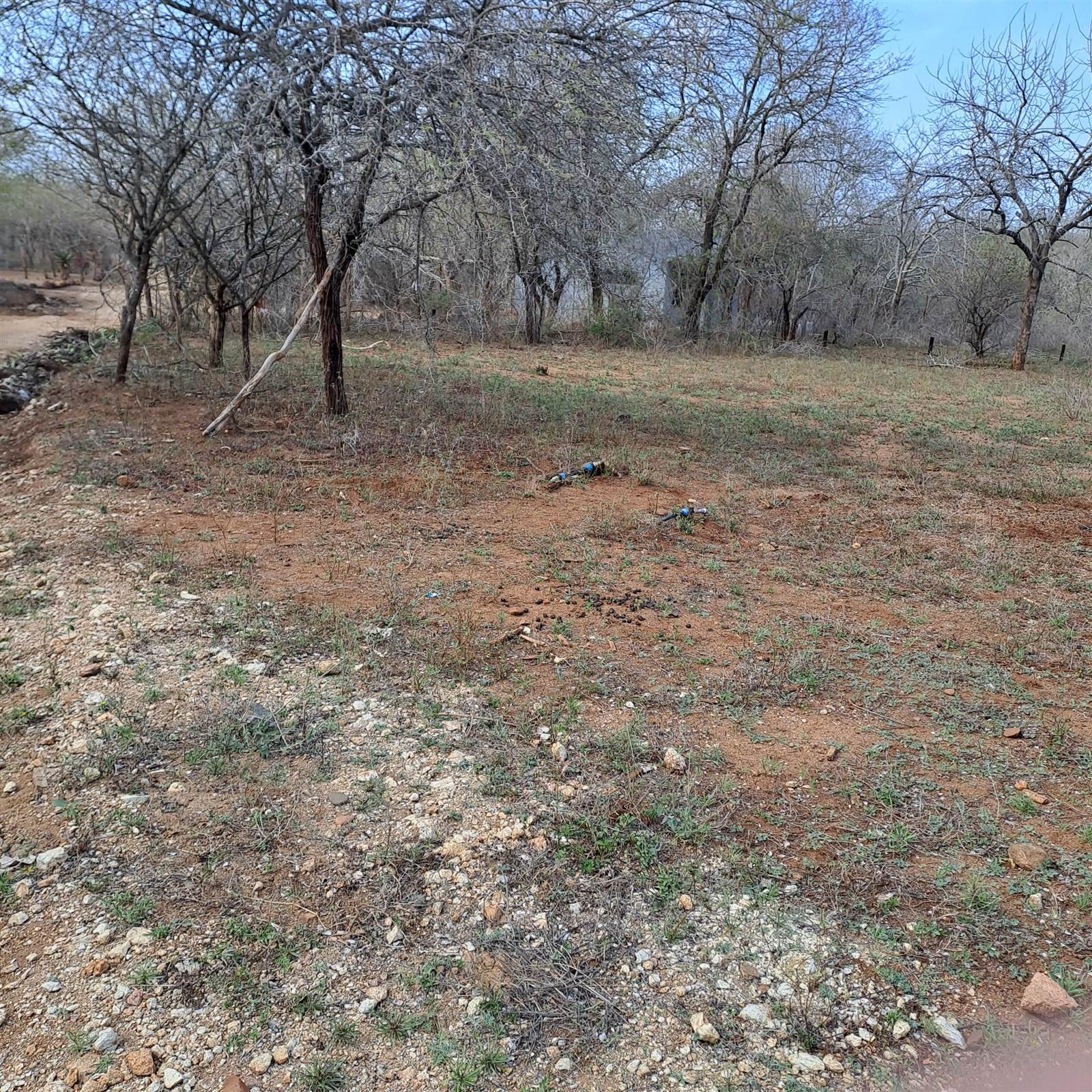 1584 m² Land available in Marloth Park photo number 3